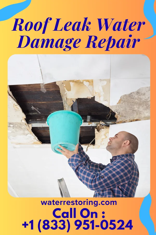 Roof Leak Water Damage Repair in Modesto, IL